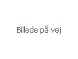 Outlet - Duravit B�rstehoved til Starck toiletb�rste