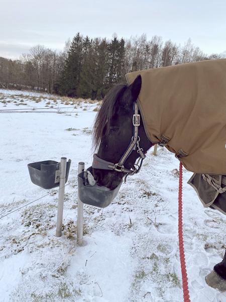 Frostfri drikkeautomat til køer og heste - 40 cm Frostfri drikkeautomat til køer og heste - 40 cm